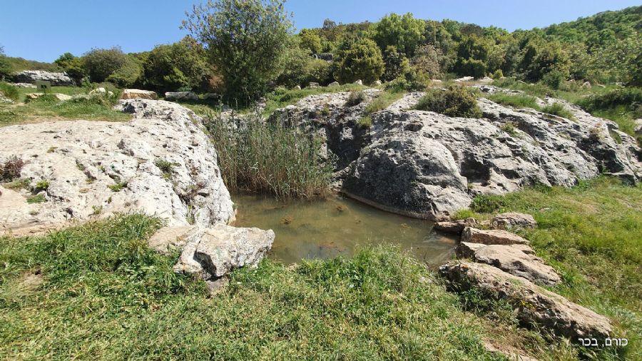 עין הזקן בתחילת המסלול של נחל כזיב